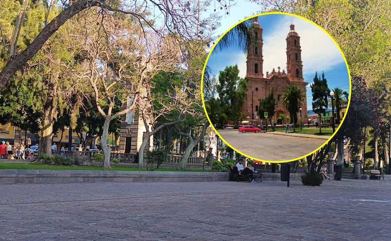 ¡Nueva imagen para calzada de Guadalupe! Renovarán alumbrado, cámaras de seguridad y jardines