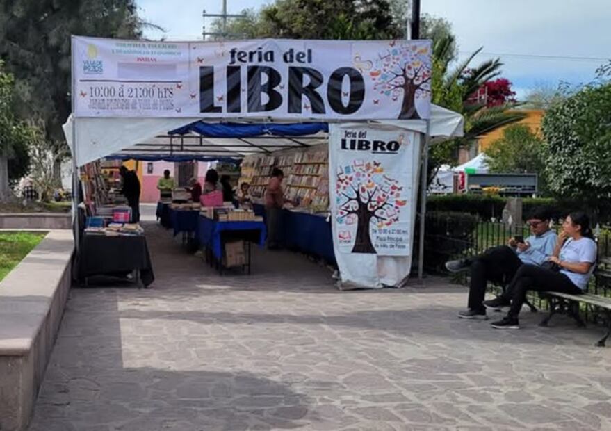 La Feria del Libro de Pozos estará hasta el 7 de enero