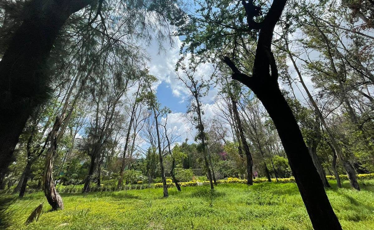 Alcalde de SLP anuncia rehabilitación de sistema de riego y planta tratadora en Parque Morales