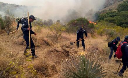 “Pérdida de especies por incendio en San Miguelito se sabrá hasta que se controle el siniestro”