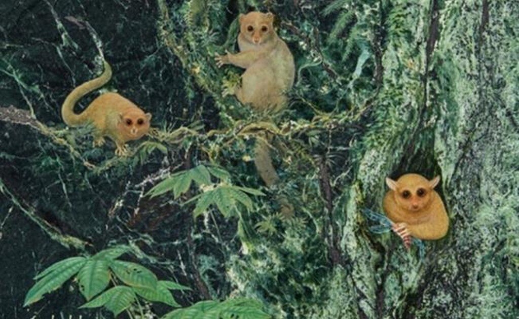  Descubren tres nuevas especies de primates, extintos hace 40 millones de años