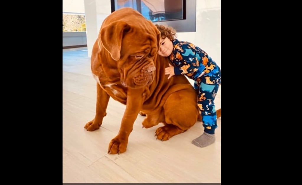El "monstruoso" perro del hijo de Messi
