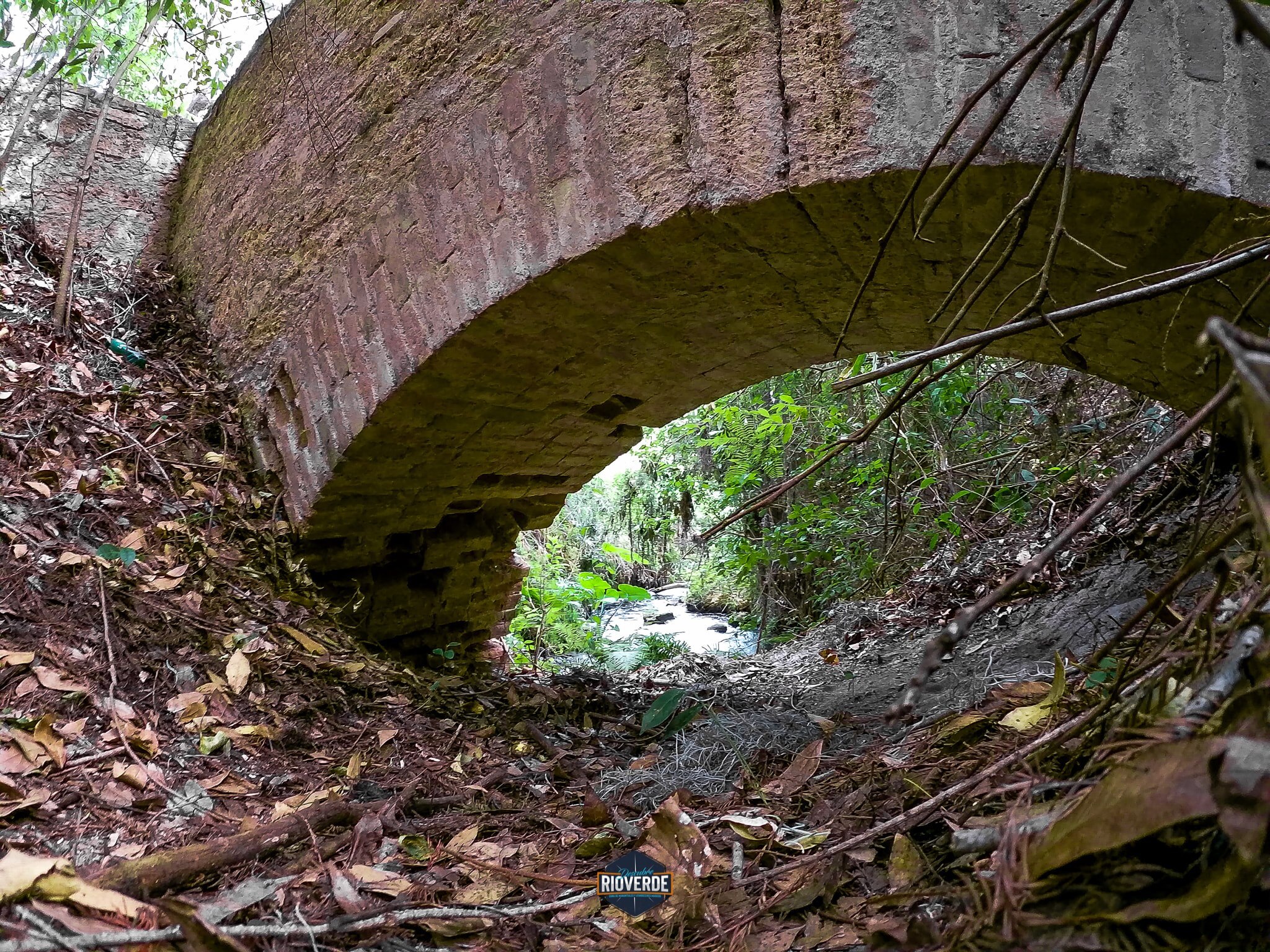 La Planta en Rioverde. Foto: Descubre Rioverde
