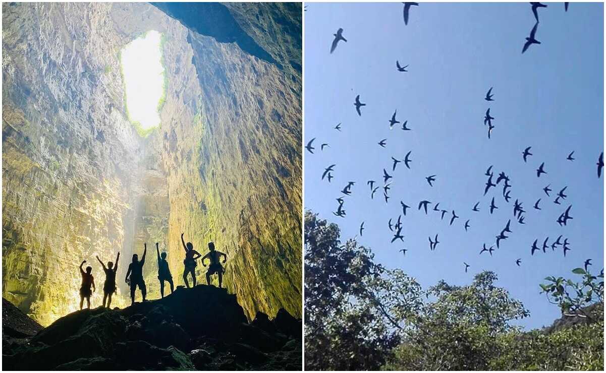 La Secretaría de Ecología y Gestión Ambiental informó a EL UNIVERSAL de San Luis Potosí, que se han implementado de forma inmediata inspecciones en las Áreas Naturales Protegidas de la huasteca potosina. Foto: Archivo EL UNVIERSAL