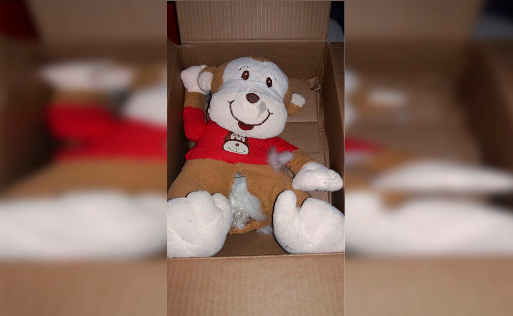 Decomisan cristal que iba en oso de peluche
