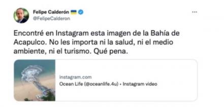 Presidencia de la República ofrece disculpas por error de García Vilchis sobre tuit de Felipe Calderón