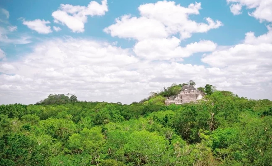 Tren Maya amenaza con arrollar el paraíso de Calakmul
