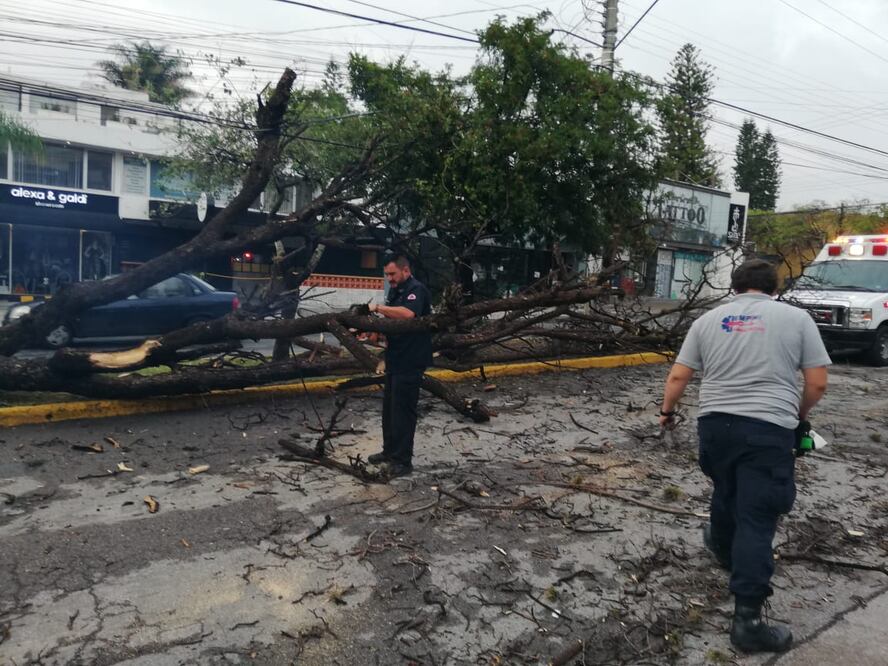 Foto: Ayuntamiento de SLP