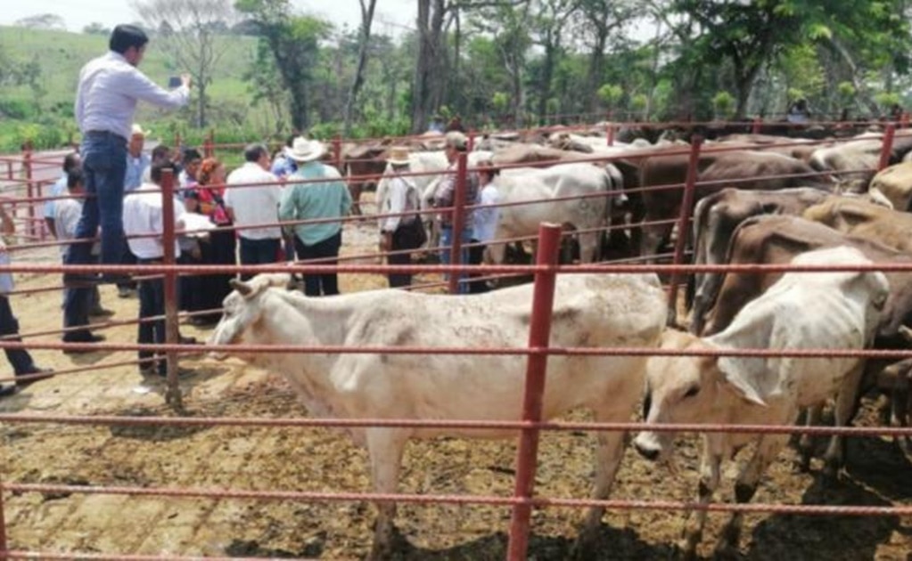 Entregan 30 mdp a ganaderos potosinos para enfrentar la sequía atípica