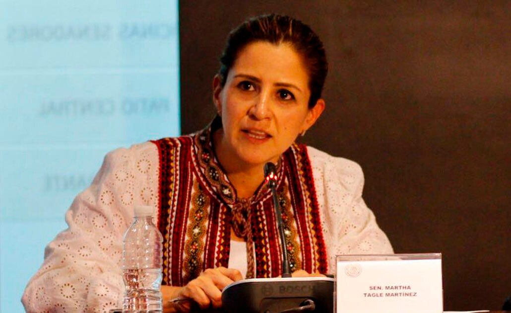 Eliminar fuero no es suficiente para combatir la impunidad: Martha Tagle