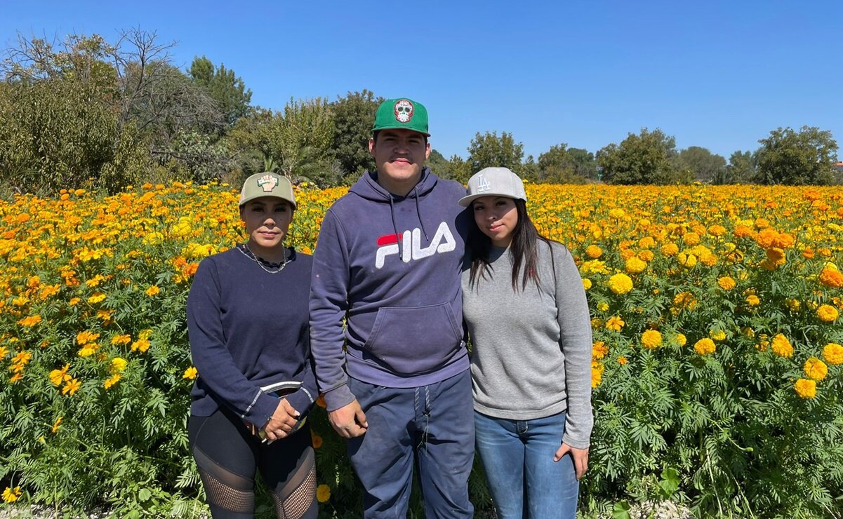La pureza de la flor de cempasúchil mexicana, un legado que resguarda la familia Cortés en SLP 