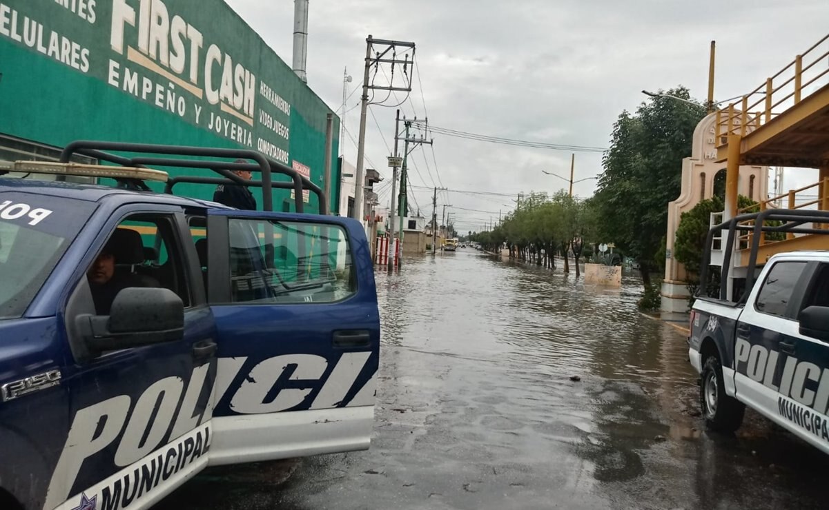Ocho árboles caídos, el saldo de las últimas lluvias en Soledad