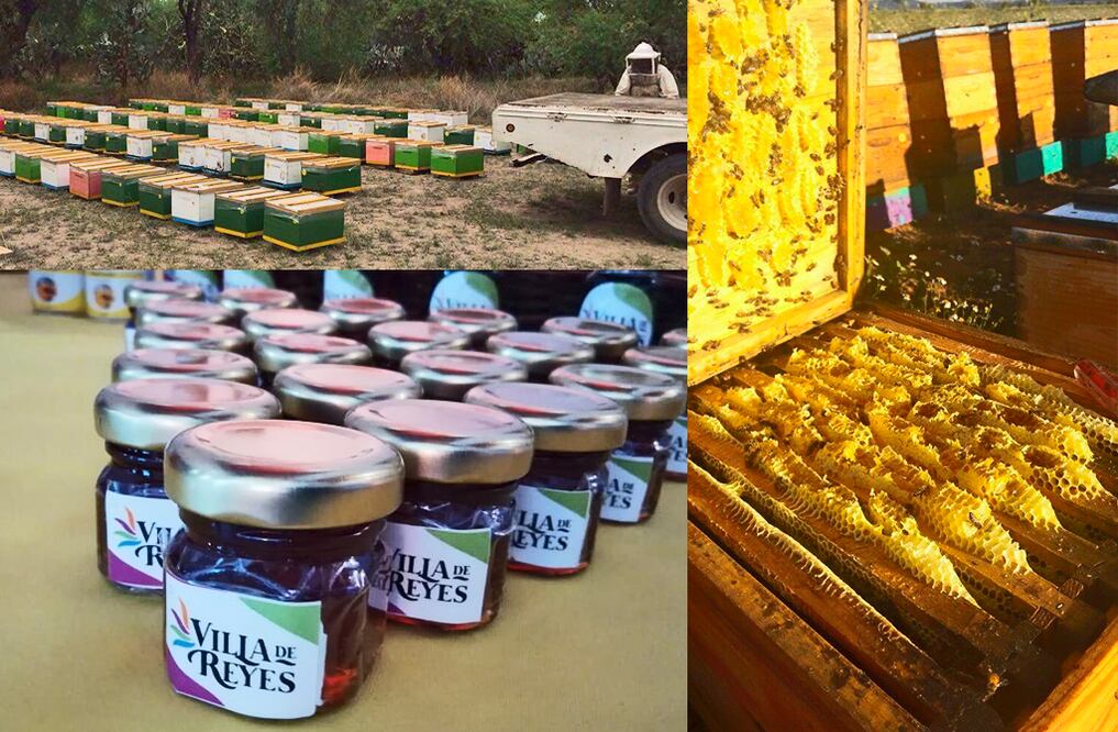 Foto: El Universal San Luis Potosí