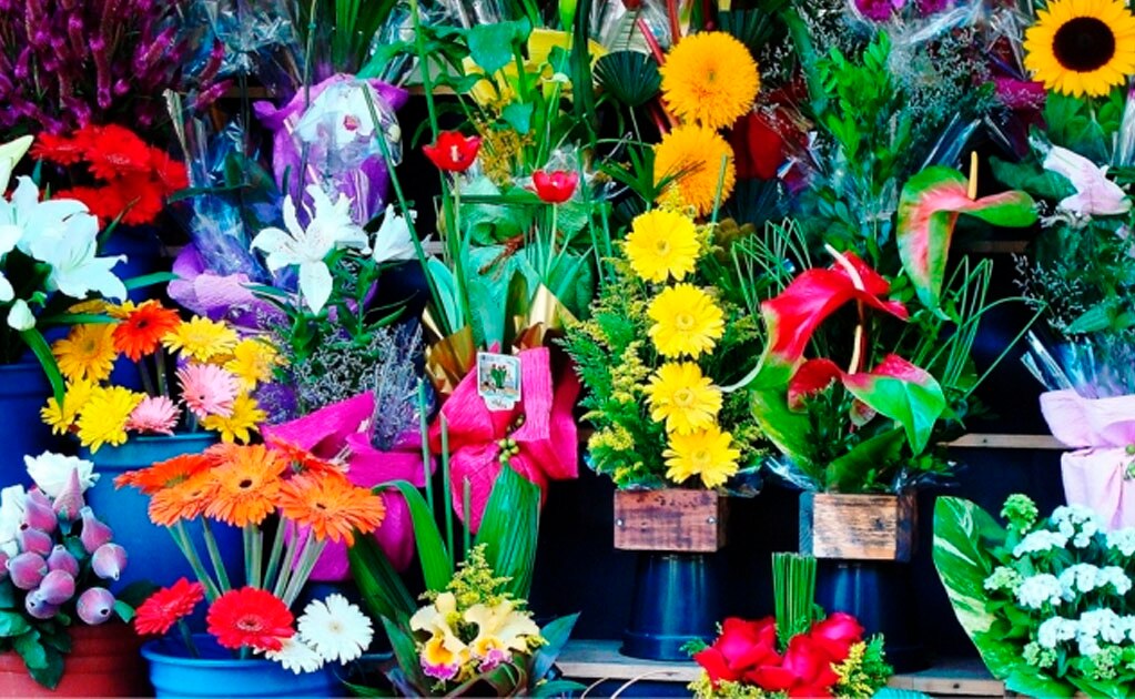 ¡Celebra el 10 de mayo! Ubica los lugares de venta de regalos para el Día de las Madres en SLP