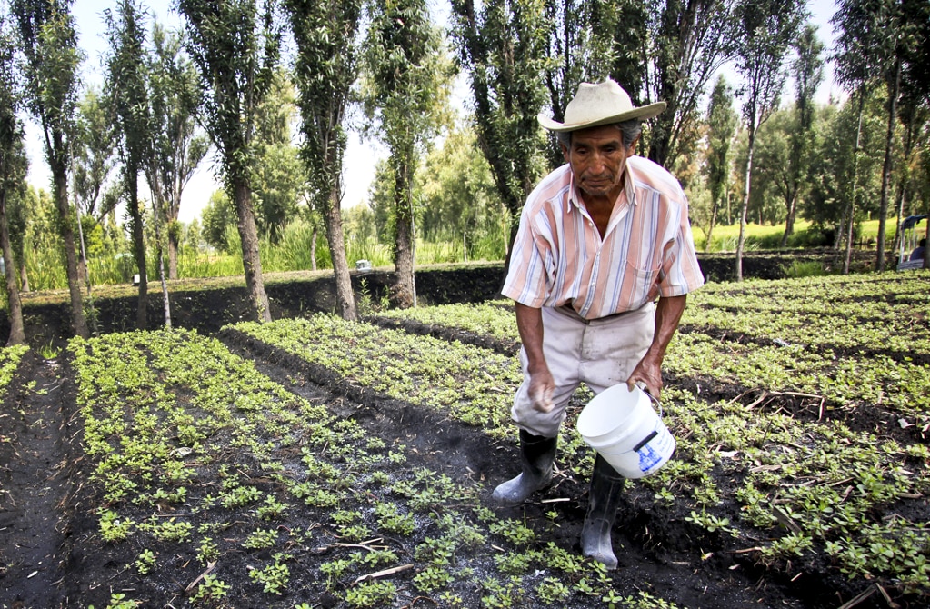 Cambio climático, paradójicamente benéfico para San Luis Potosí