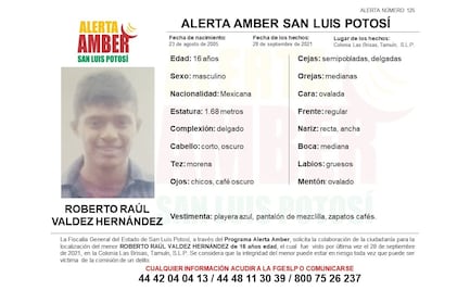 Activan Alerta Amber para hallar a Roberto Raúl, visto por última vez en Tamuín