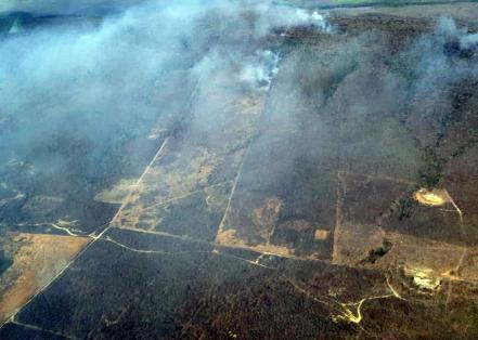 Continúa combate de dos incendios en SLP
