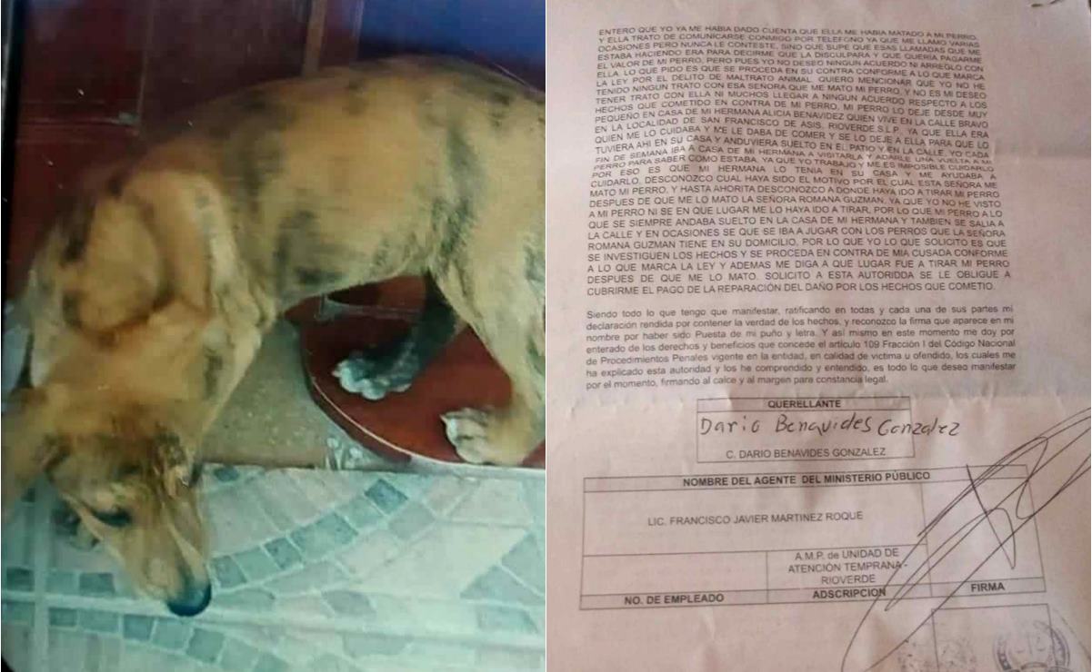 Dueño de perrito ahorcado en Rioverde, SLP, denuncia a presunta asesina