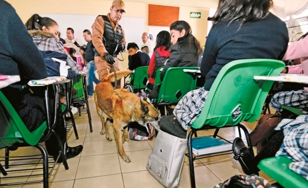 Mochila segura no evita violencia; criminaliza a los niños: especialista