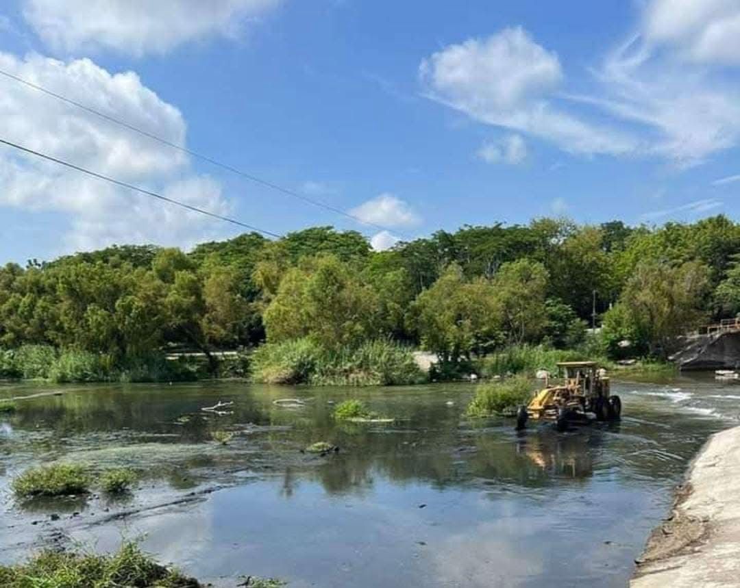 Reforestarán con 10 mil árboles a Ciudad Valles; buscan recuperar afluente del río con esta plantación