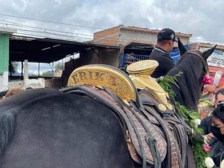 FOTOS. Con semblante triste, la "gorda Tomasa", yegua favorita de Erika Briones, le da último adiós