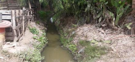 Renace promueve amparo para llevar servicios a Colonia Real de Peñasco