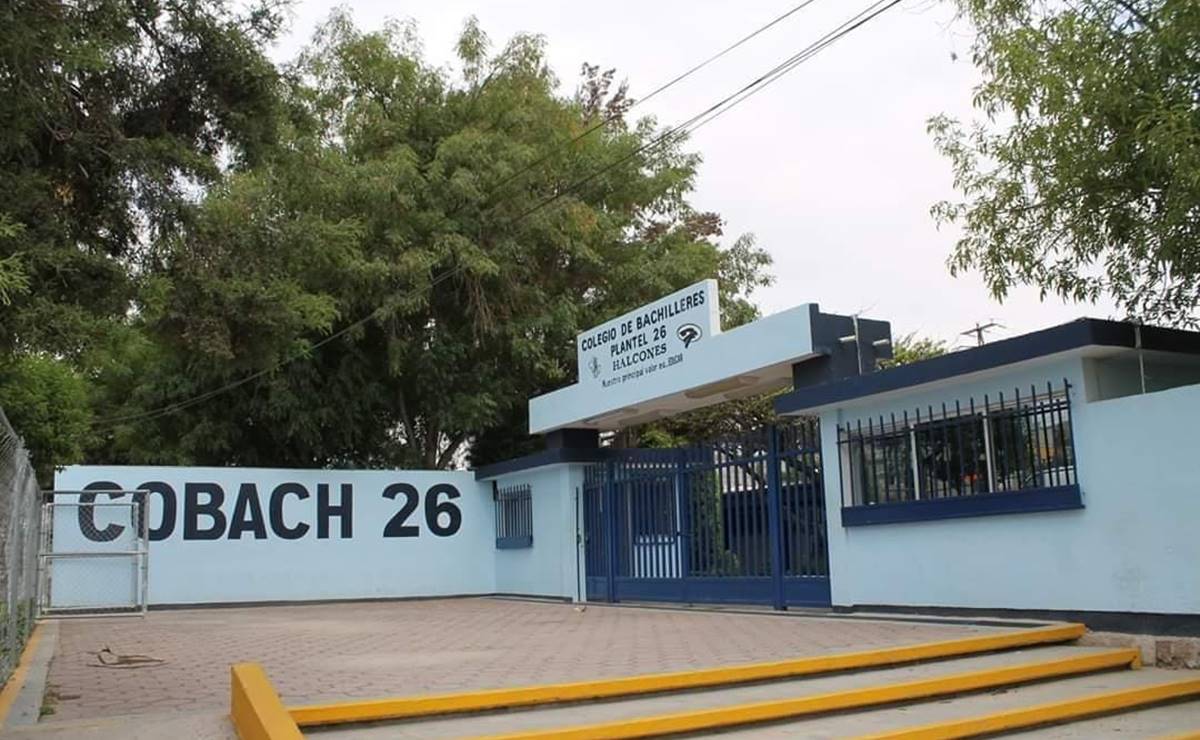 COBACH y EMSaD de la zona huasteca tomarán clases en línea 