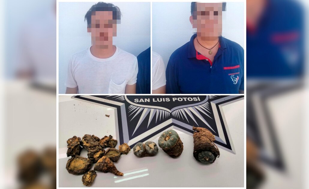 Detienen a dos con peyote en la Progreso