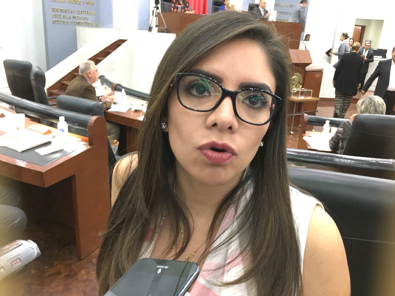Se queja diputada por abandono carretero en la Huasteca