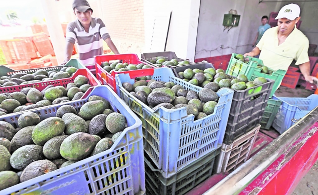 Foto: Archivo. El Universal.