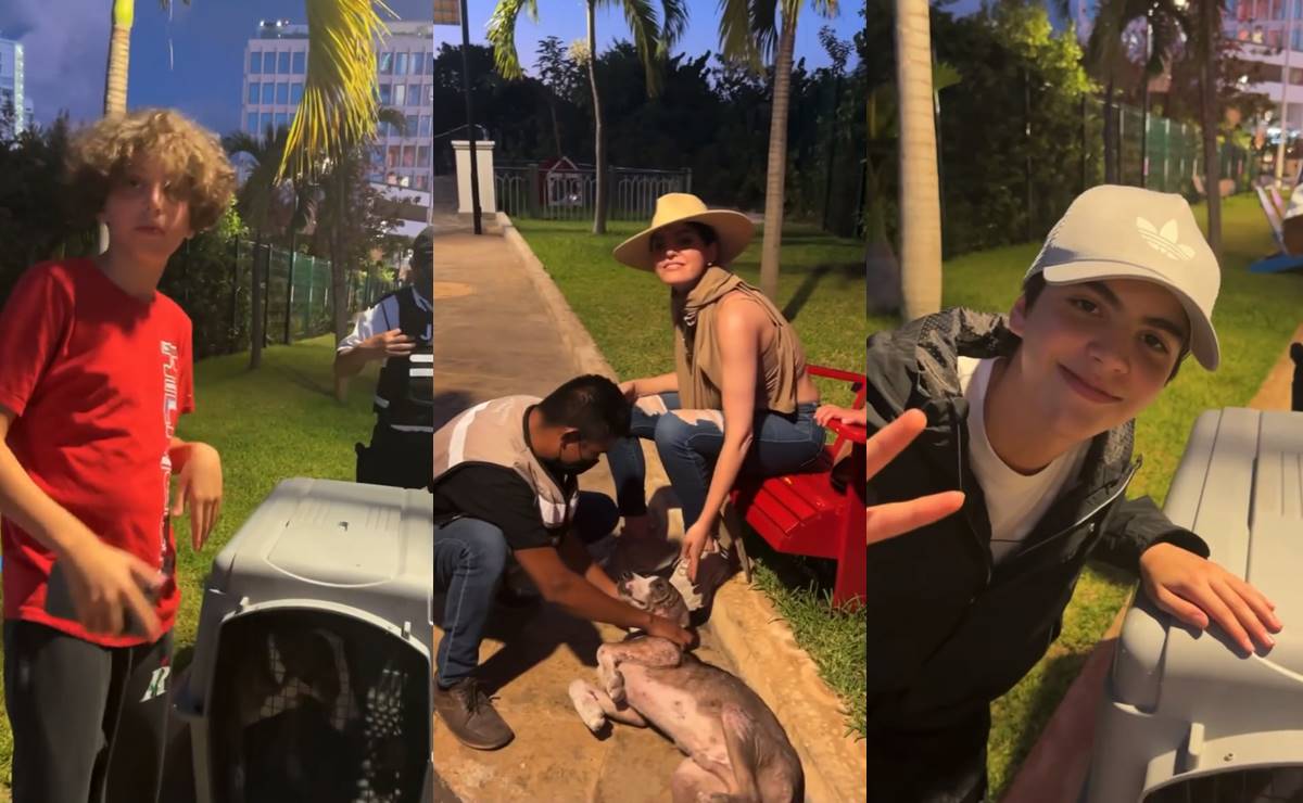 VIDEO. Ana Bárbara y sus hijos protagonizan emotivo rescate de un perrito en Cancún