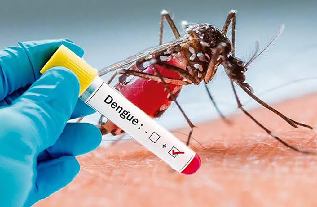 En 2019, reportan 669 casos de dengue en SLP