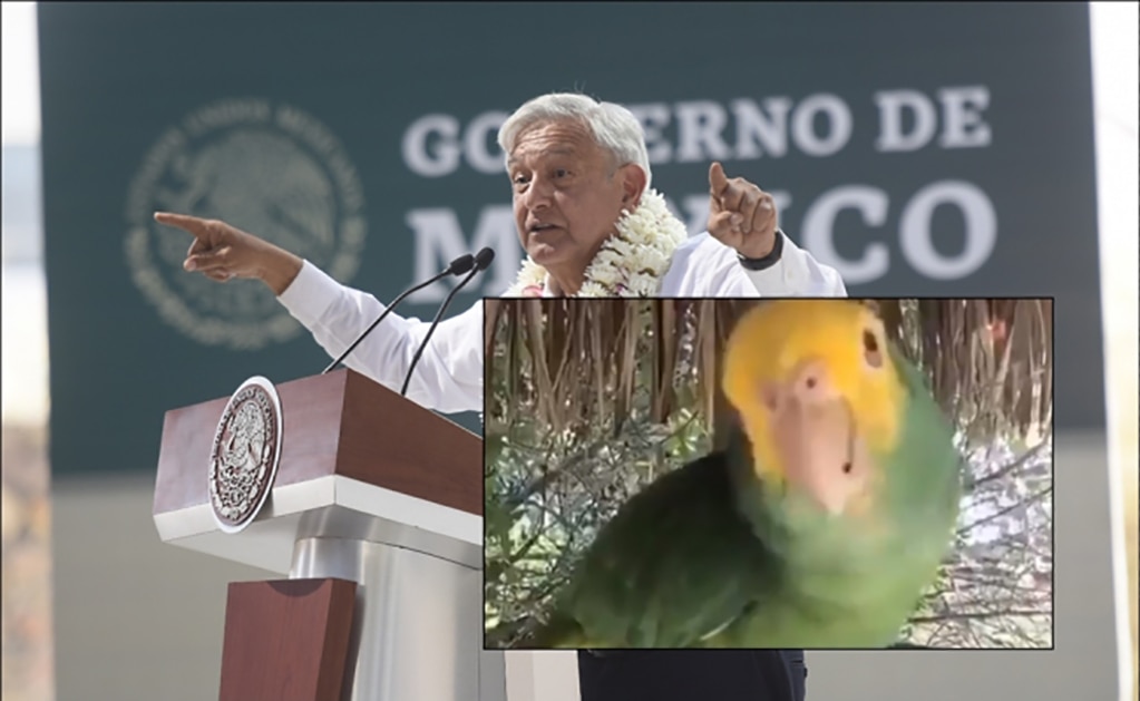 López Obrador envía mensaje a los americanistas