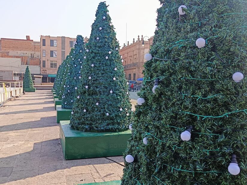 Árboles navideños en Plaza de los Fundadores. Foto: Jazmín Ramírez