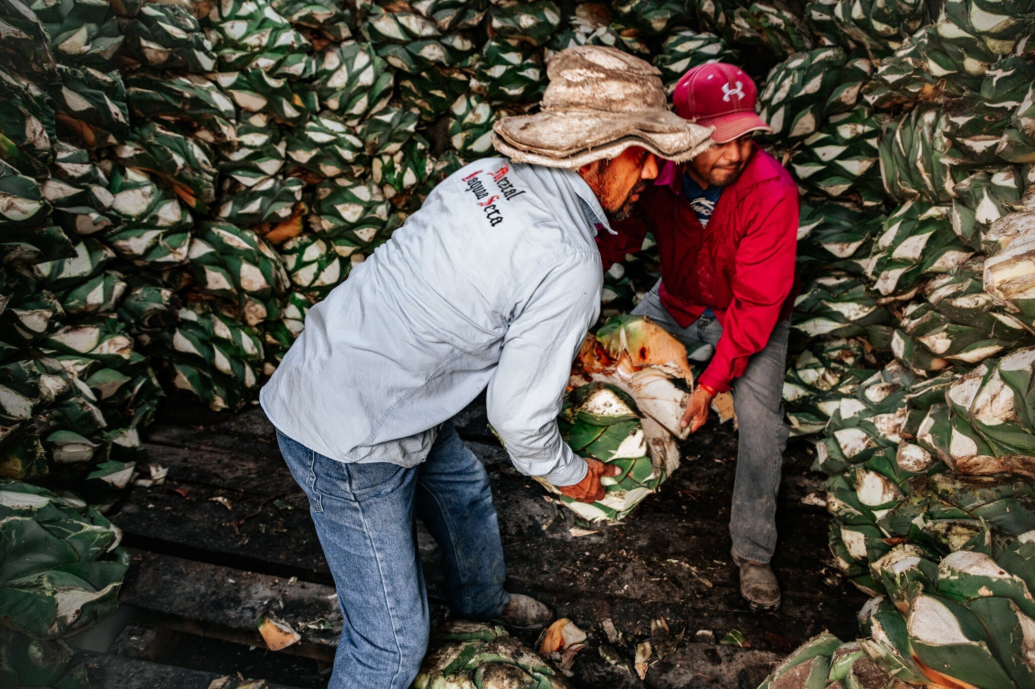 Foto: Mezcal Laguna Seca