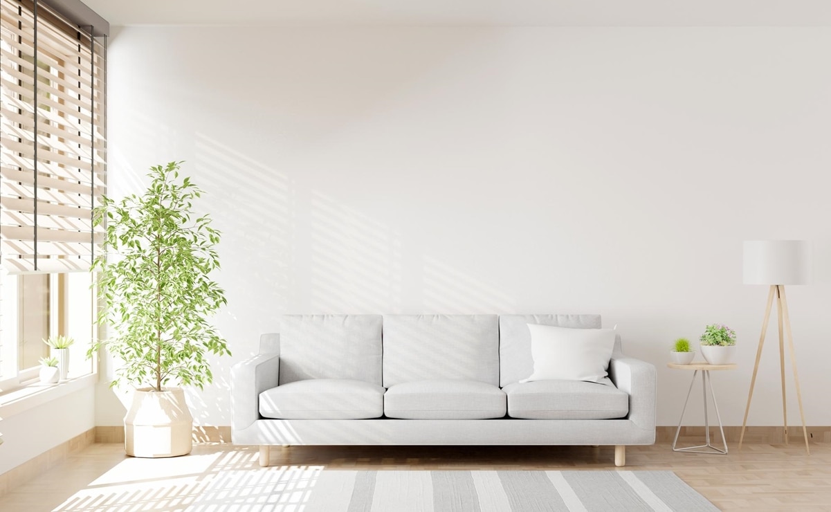 Cómo limpiar la casa de malas energías; dale la bienvenida al 2025 con estos tips