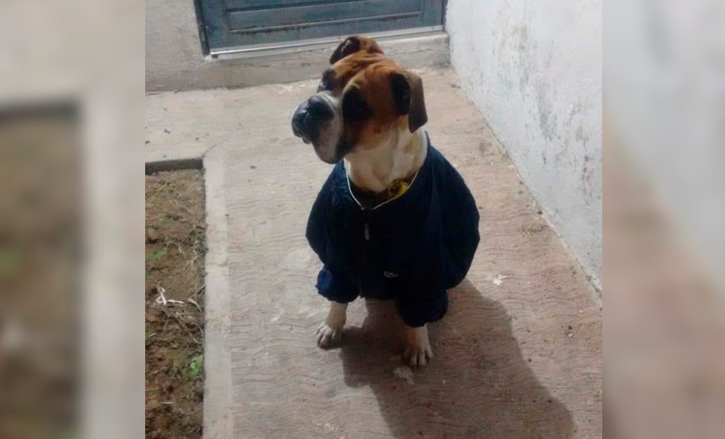 (VIDEO) Captan en video la muerte de “Miguelito” 