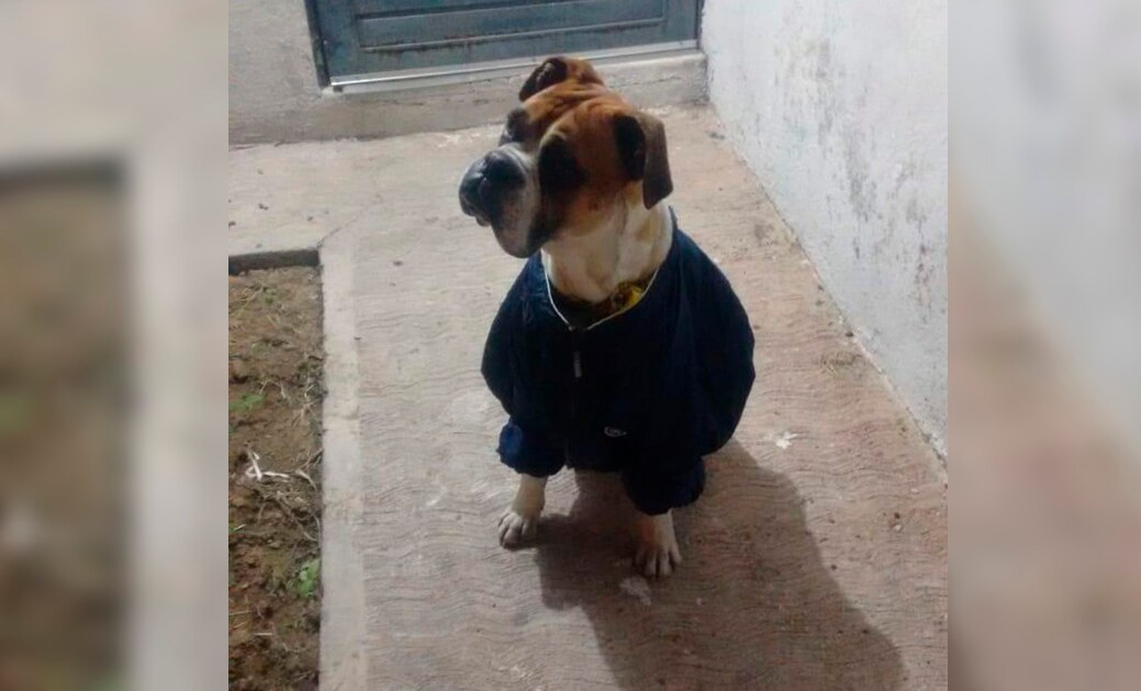 (VIDEO) Captan en video la muerte de “Miguelito” 