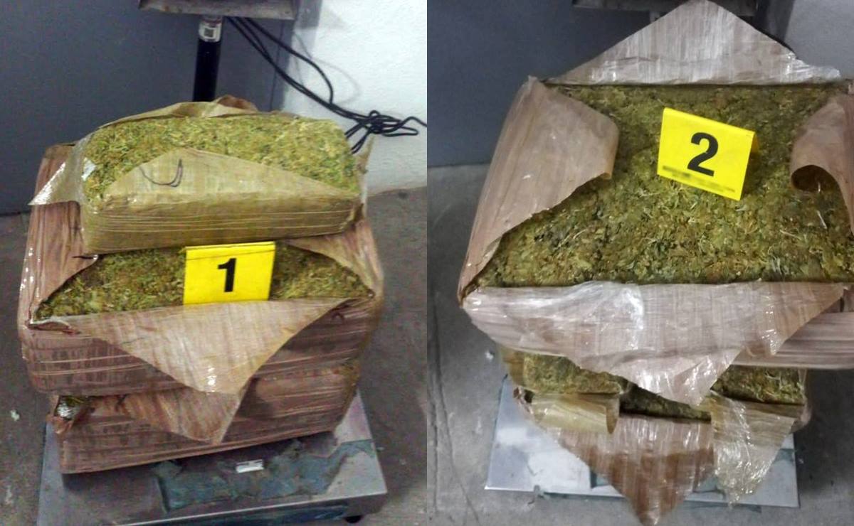 Guardia Nacional asegura 73 kilos de marihuana en Aeropuerto de SLP; sería trasladada a Tamaulipas
