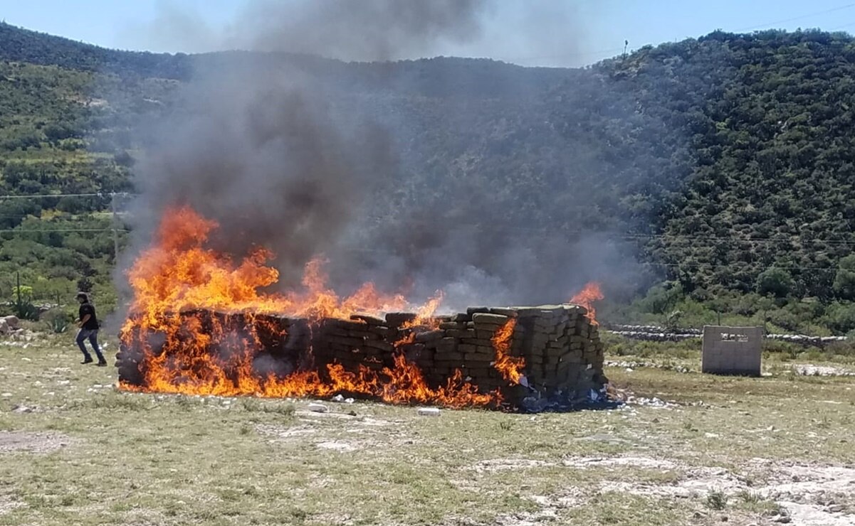 Incineran en Zaragoza, San Luis Potosí, diversos estupefacientes y psicotrópicos asegurados