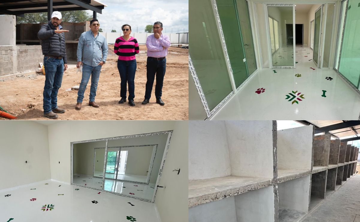 Avances de las instalaciones del nuevo hospital veterinario. Fotos: Especiales