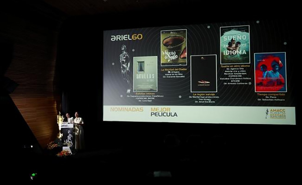 "Sueño en otro idioma" encabeza nominaciones de los Ariel