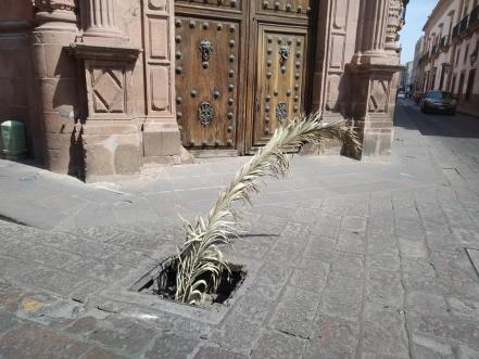 Lluvias ponen al descubierto deficiencias en infraestructura de capital de SLP