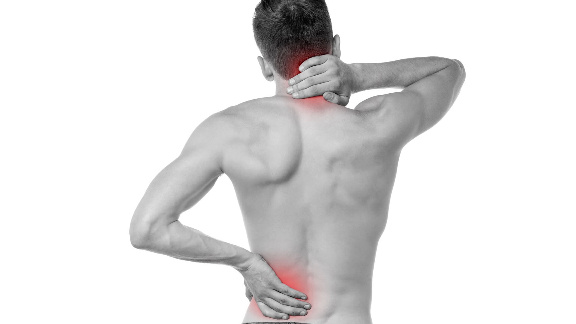 IMSS recomienda procurar cuidados de la espalda