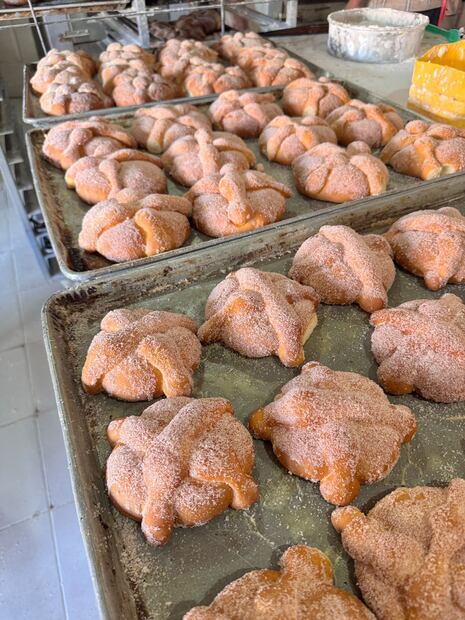 Foto: Humberto Torres