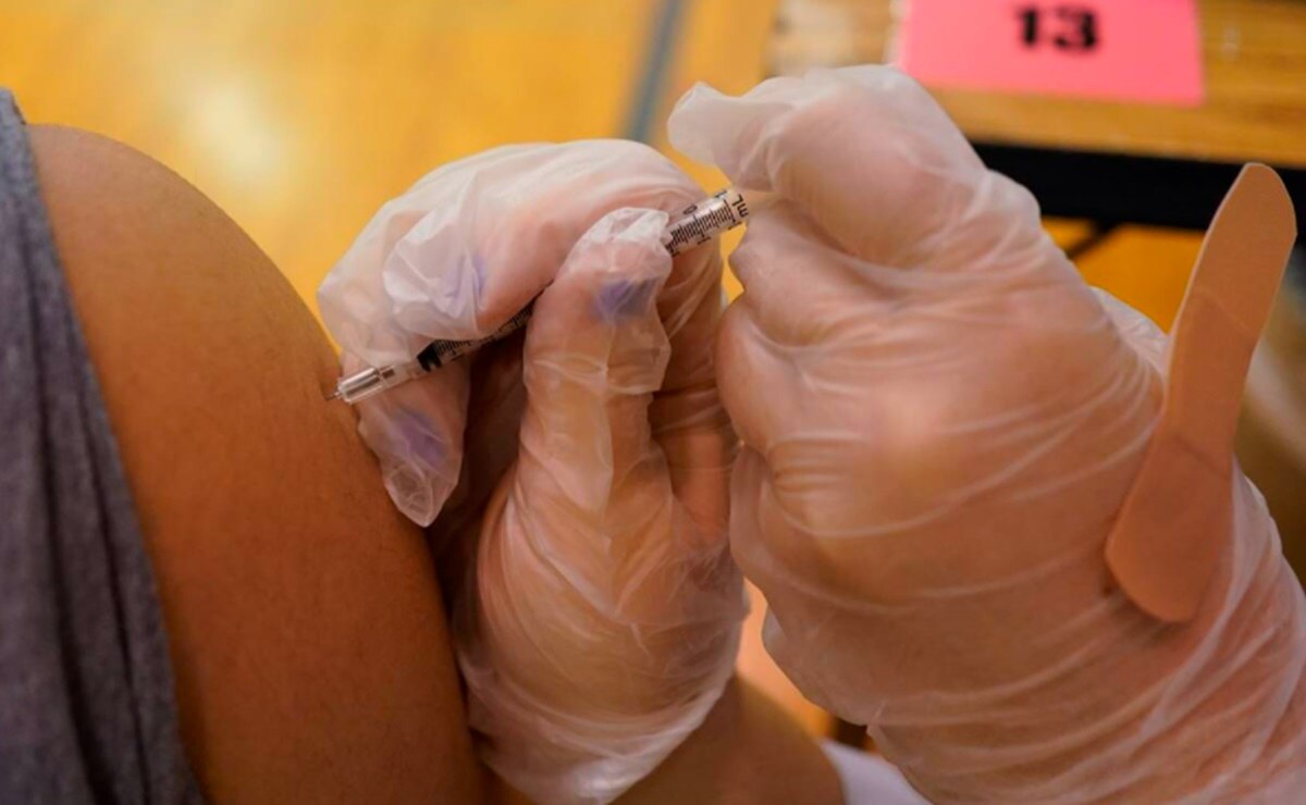 Cofepris evalúa aplicar vacunas de Pfizer a niños y niñas a partir de 12 años: López-Gatell