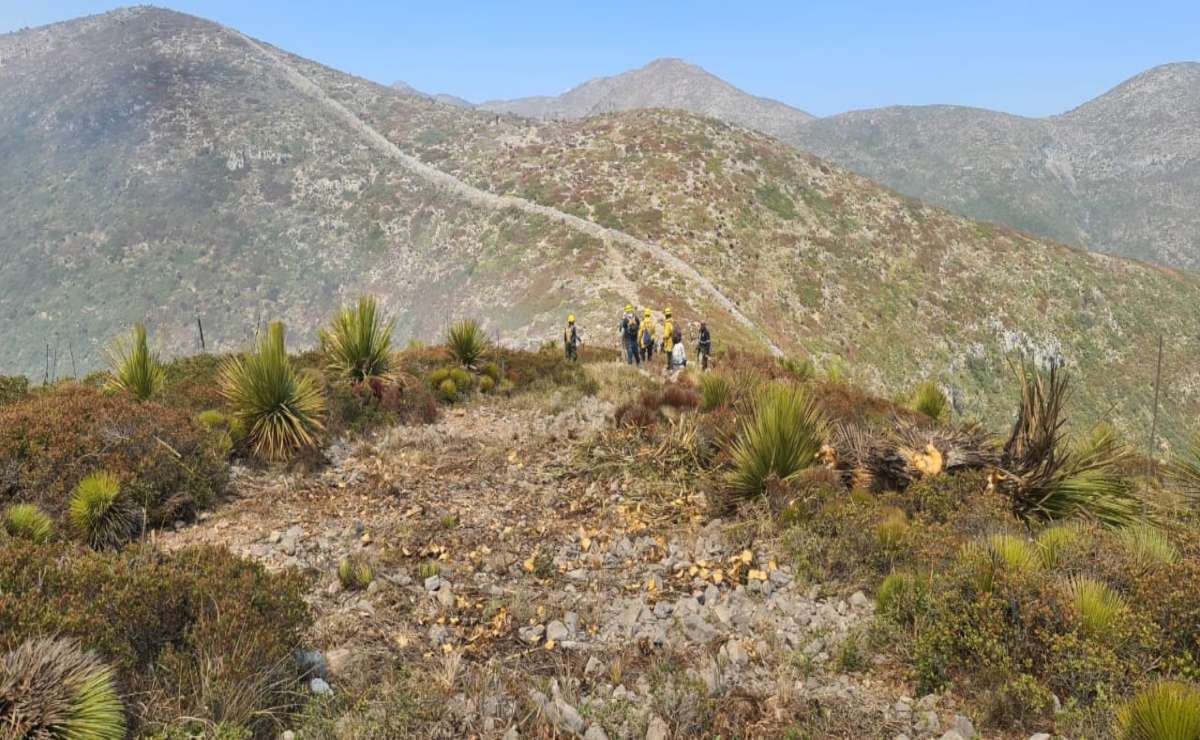 Fuertes vientos provocaron la pérdida del control momentáneo en incendio de Wirikuta