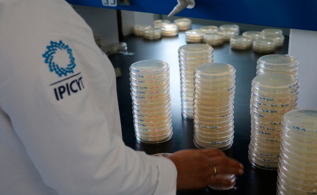 Estima investigadora que suelo es una biofarmacia productora de antibióticos naturales