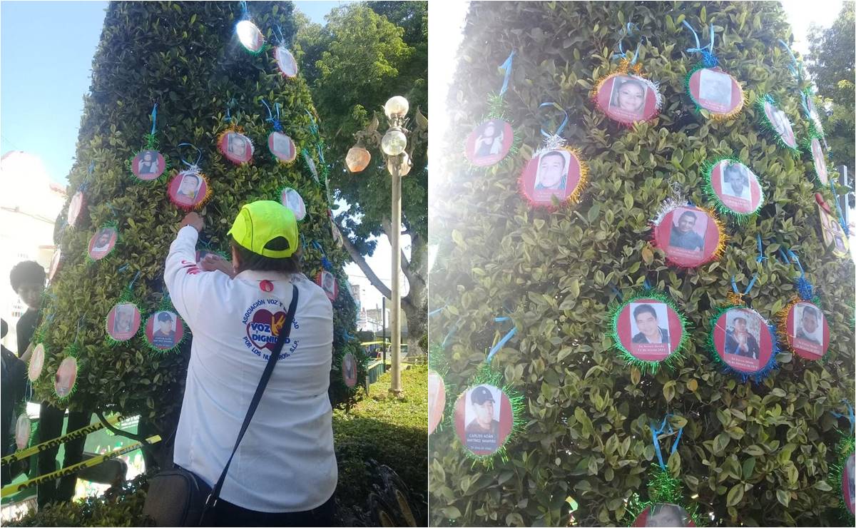 Madres buscadoras montan en Rioverde un árbol navideño con fotos de sus desaparecidos