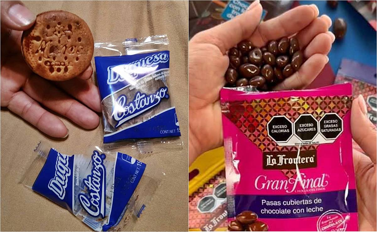 Costanzo y La Frontera, los chocolates que conquistan y ponen en alto a San Luis Potosí